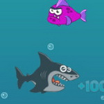Play Mad Shark at Maky Club | Fun Online Game for All Ages