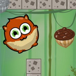 Nuts for Winter: Help the Squirrel Collect Nuts for the Cold Season - Play Now on Maky.club