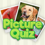 PictureQuiz: Test Your Knowledge with Fun and Challenging Word Puzzles